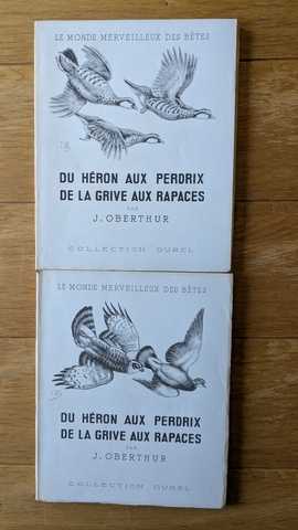 Du heron aux perdrix, de la grive aux rapaces