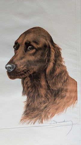 Portrait setter