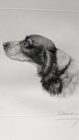 setter profil