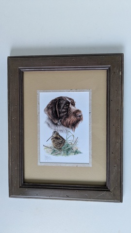 Portrait Griffon Korthals et bécasse